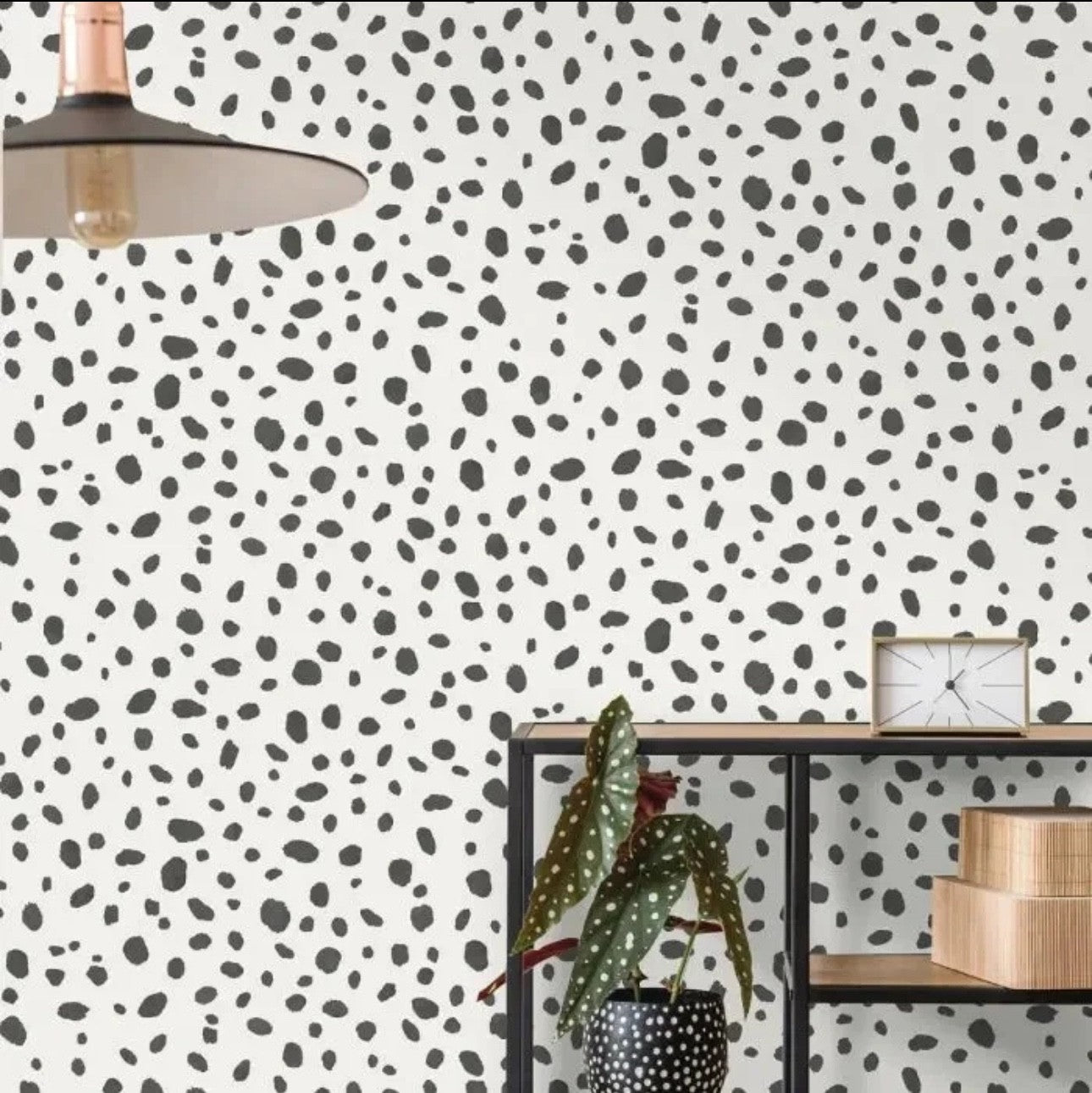 Holden Dalmatian Spot Animal Print Wallpaper  Black & White 12940