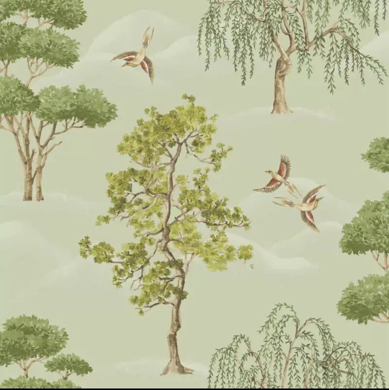 Rasch Maya Willow Woodland Wallpaper – Green Bird Print Luxury Decor | 283876