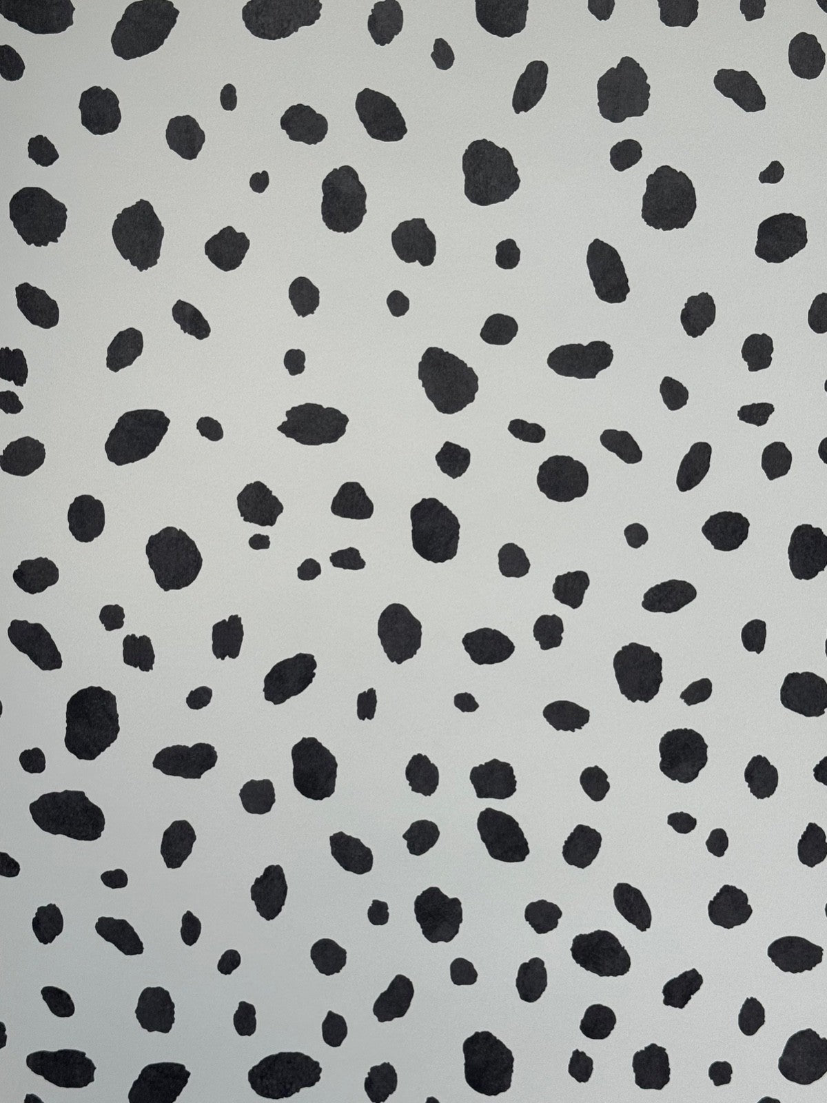 Holden Dalmatian Spot Animal Print Wallpaper  Black & White 12940