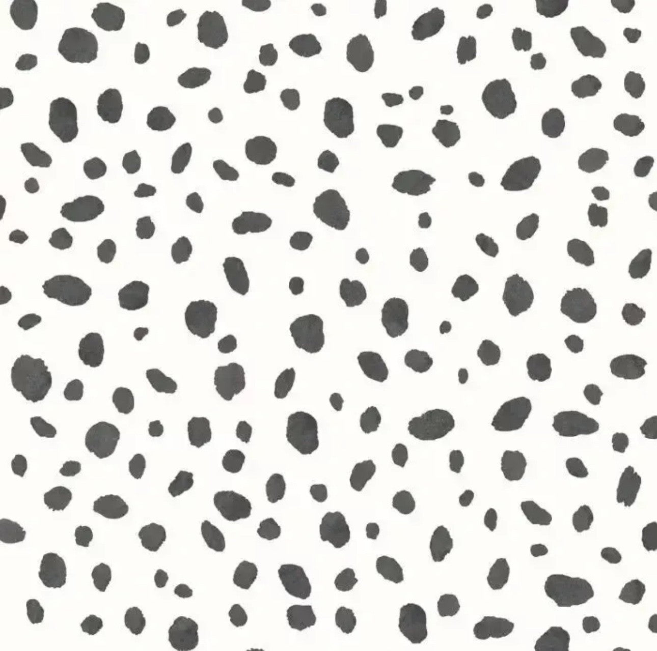 Holden Dalmatian Spot Animal Print Wallpaper  Black & White 12940
