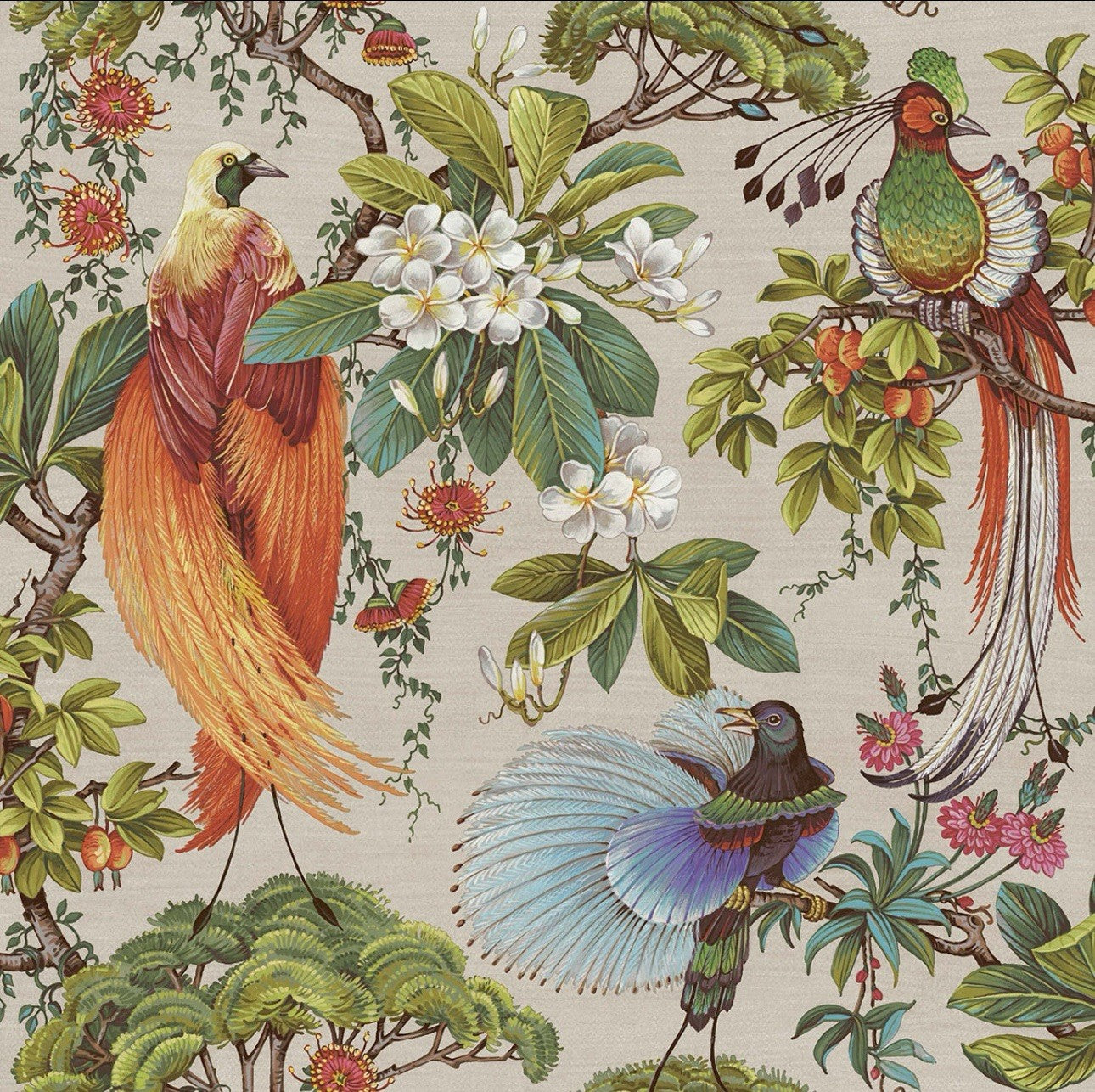 Holden Decor Songbird Tropical Natural Floral Decorative Luxury Wallpaper 91404